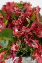 Floral Embrace - Porcelain Floral Vase Arrangement -3.webp