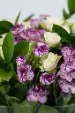 Ivory Rose Garden - Glass Vase Arranegement - 6.webp