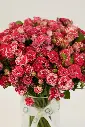 cherry Petals - Elegant Glass vase Arrangement -7.webp
