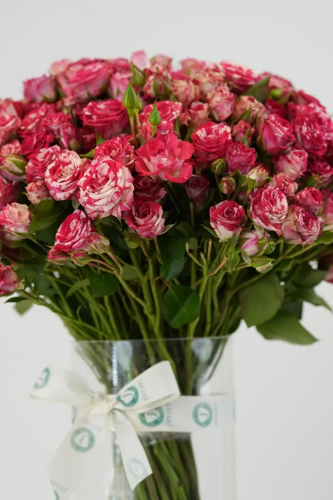 cherry Petals - Elegant Glass vase Arrangement -3.webp