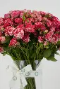 cherry Petals - Elegant Glass vase Arrangement -3.webp
