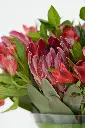 Midnight Flames - Elegant Vase Arrangement -3.webp