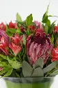 Midnight Flames - Elegant Vase Arrangement -6.webp
