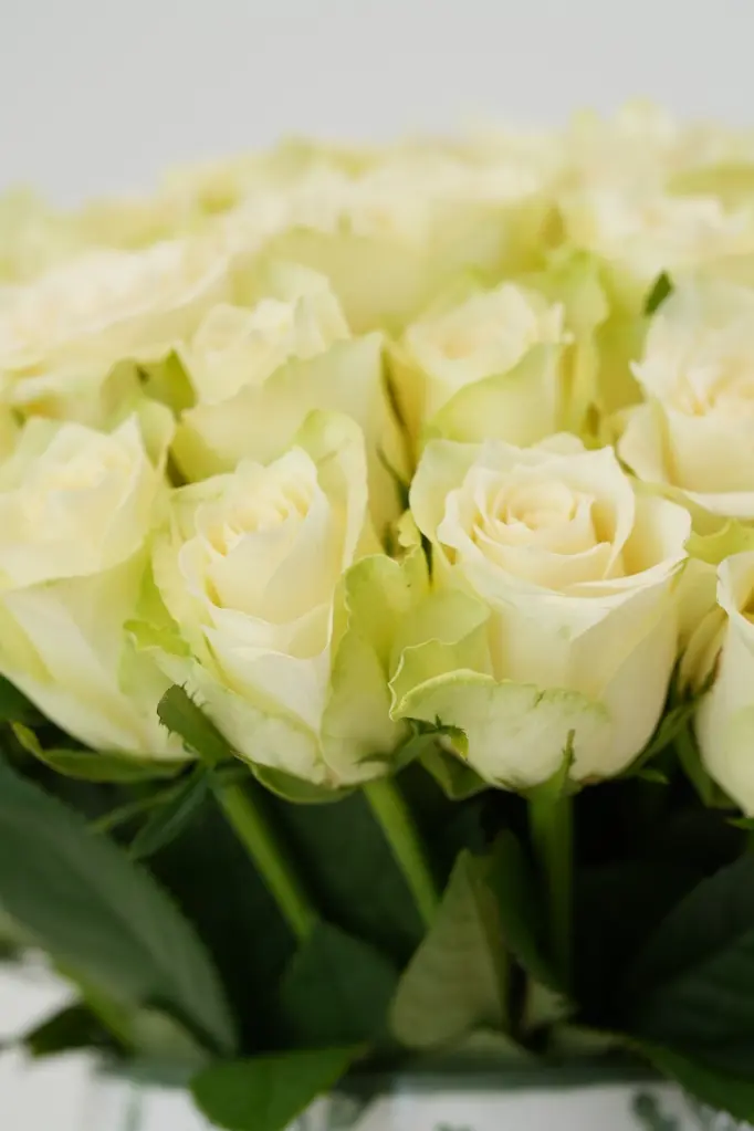 Ivory Elegance White Roses - Porcelain Floral Vase Arrangement -6.webp