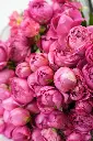 Vintage Bloom Roses Bouquet -2.webp