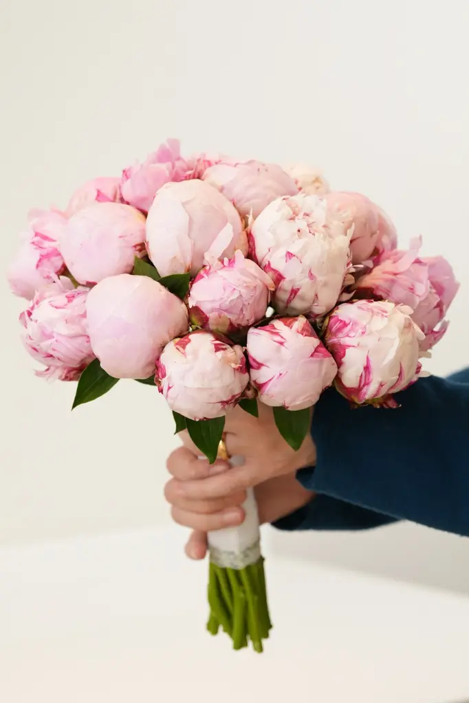 Blushing Bride - Bridal Bouquet -3.webp