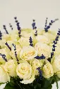 Lavender Cream Harmony - Glass Vase Arrangement -5.webp