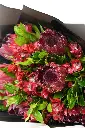 DSC03111.webp