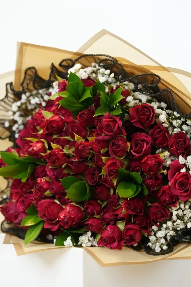 IMG-20250803-WA0064.webp
