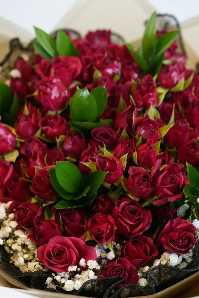IMG-20250803-WA0061.webp