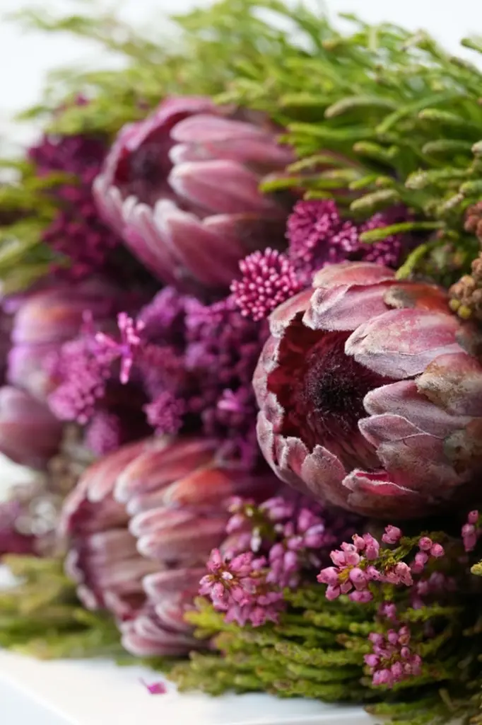 Protea Dream Bouquet - Gifts-Congratulations - get well soon - 4.webp