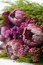 Protea Dream Bouquet - Gifts-Congratulations - get well soon - 4.webp