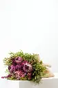 Protea Dream Bouquet - Gifts-Congratulations - get well soon - 2.webp