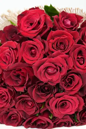 Endless Passion -valentines's Day - Anniversaries -4.webp