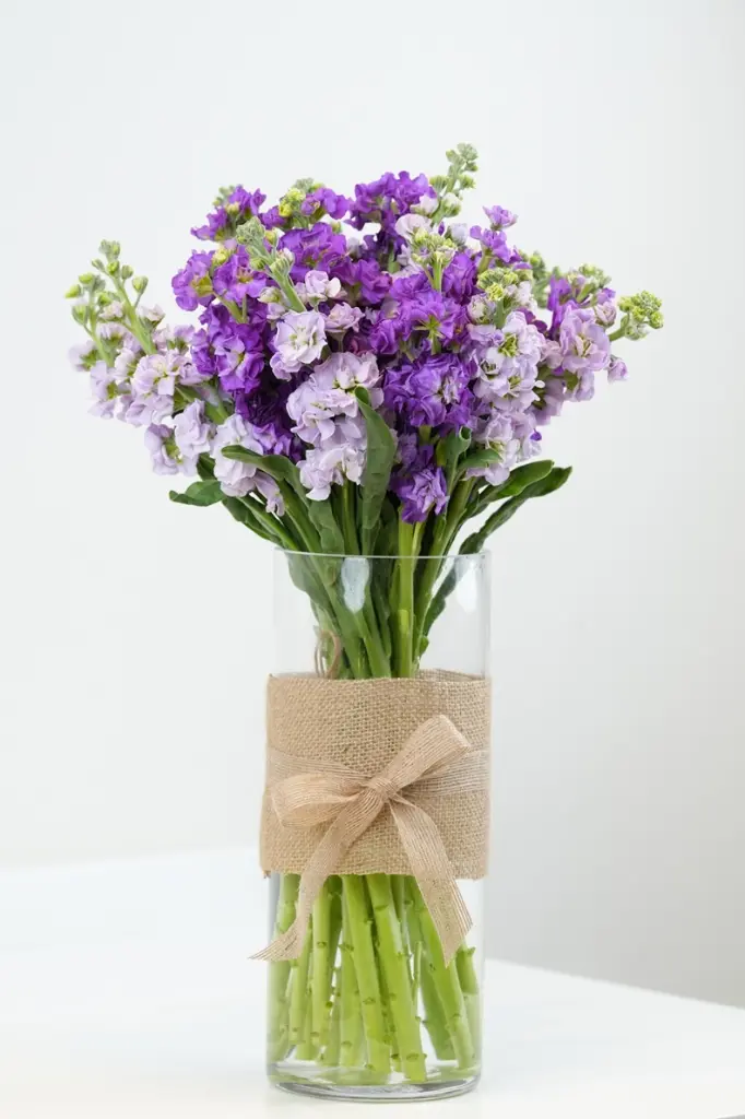 Matthiola Bloom VASE -GIFTS - BIRTHDAY- SORRY BOUQUET- GET WELL SOON -2.webp