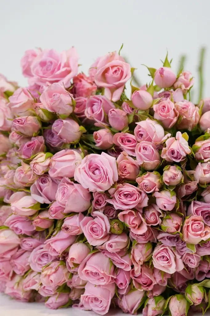 Juliet’s Embrace Bouquet -4.webp