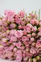 Juliet’s Embrace Bouquet -4.webp