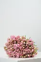 Juliet’s Embrace Bouquet -3.webp