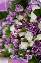 Lavender Dreams – Mixed Carnation & Rose Bouquet - Get well Soon - Birthday - Congratulation - 6.webp