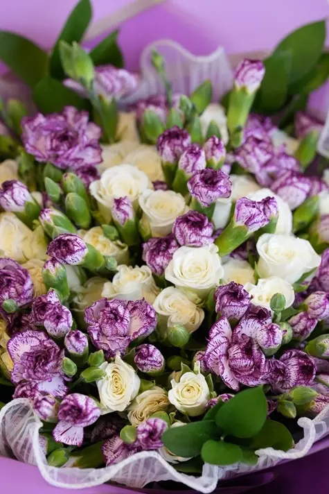Lavender Dreams – Mixed Carnation & Rose Bouquet - Get well Soon - Birthday - Congratulation - 3.webp