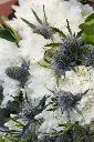 Moonlit Meadow - Elegant White Chrysanthemum & Eryngium Bouquet -6.webp