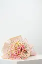 Elegant Blush - New Born Baby Girl - Mother's Day  -4.webp