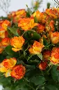 Sunset Harmony - Glass Vase -13.webp