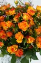 Sunset Harmony - Glass Vase -10.webp
