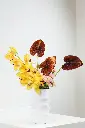 Tropical Muse Vase Arrangement-2.webp