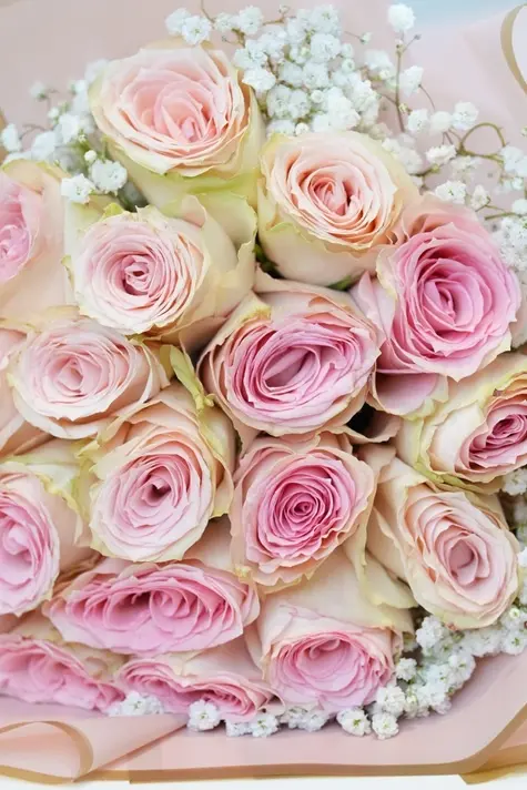 Elegant Blush - New Born Baby Girl - Mother's Day  -5.webp