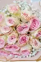 Elegant Blush - New Born Baby Girl - Mother's Day  -5.webp