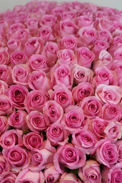 La Vie en Rose - Pink Roses on Black box -3.webp