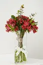 Thinking of You - fresh red Alstroemeria in Glass Vase -3.webp