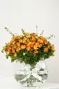 Sunset Harmony - Glass Vase -7.webp