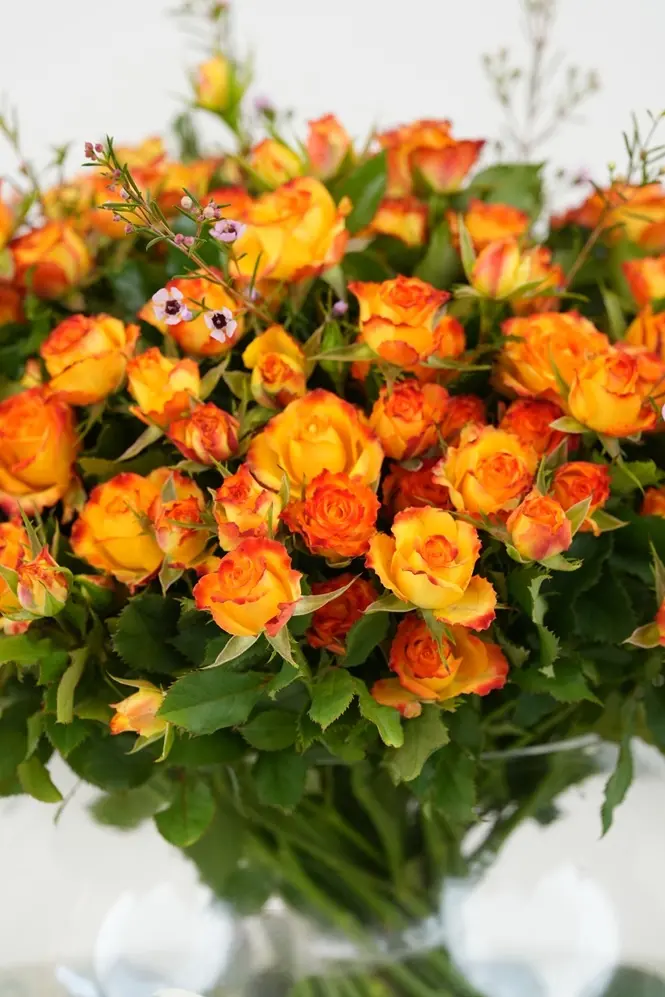 Sunset Harmony - Glass Vase -6.webp