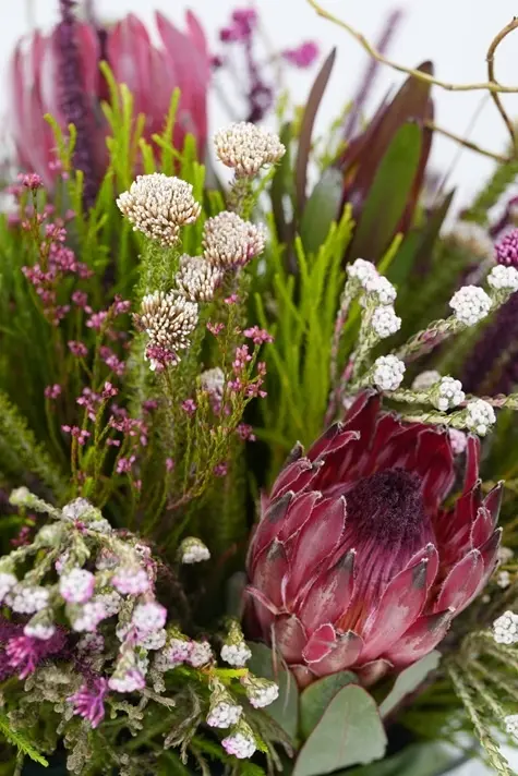 Wild Protea Garden - Vase arrangement -3.webp