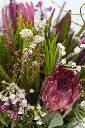 Wild Protea Garden - Vase arrangement -3.webp