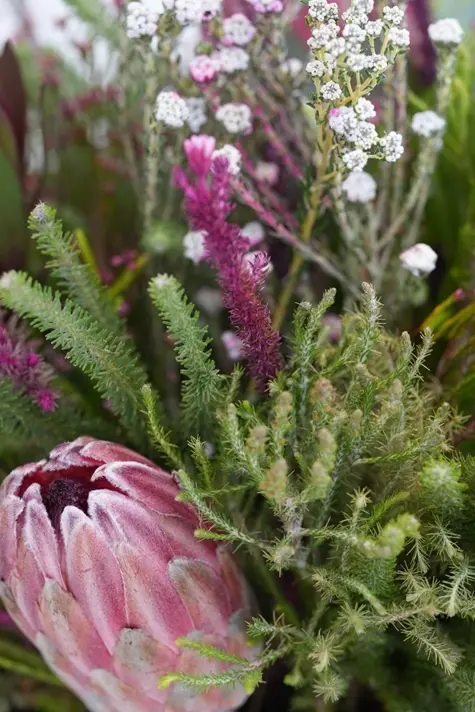 Wild Protea Garden - Vase arrangement -8.webp
