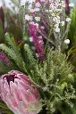 Wild Protea Garden - Vase arrangement -8.webp