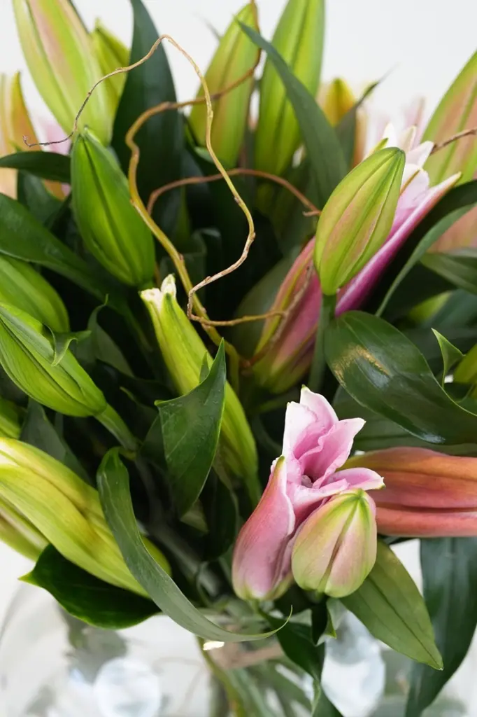 Lily Serenity – Fresh Pink Lily Arrangement in Glass Vase -4.webp
