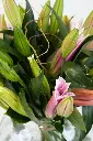 Lily Serenity – Fresh Pink Lily Arrangement in Glass Vase -4.webp