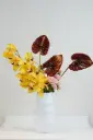 Tropical Muse Vase Arrangement