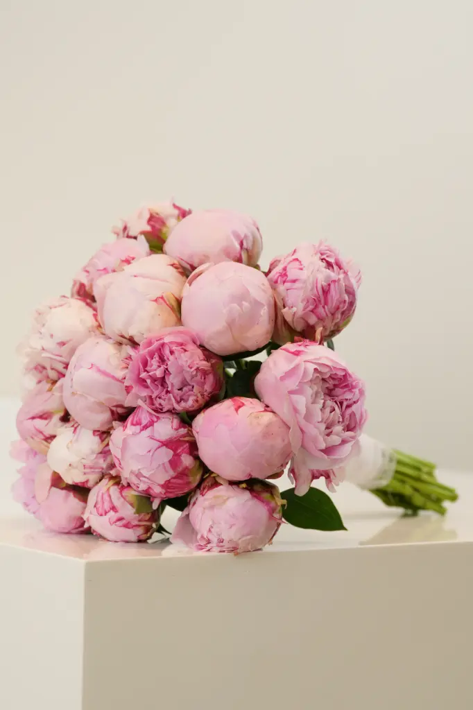 [BQ-BBBB-002] Blushing Bride - Bridal Bouquet