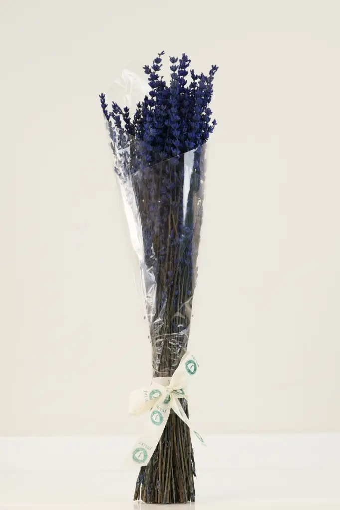 [BQ-MLD-025] Midnight Lavender Dreams