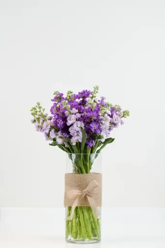 [BQ-MBV-022] MATHIOLA BLOOM VASE