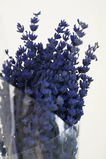 [BQ-MLD-025] Midnight Lavender Dreams