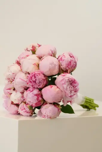 [BQ-BBBB-002] Blushing Bride - Bridal Bouquet